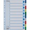 Esselte Intercalaires A4 10 Touches, Multicolore, Onglets Renforces en Plastique Resistant avec Table des Matieres, 15261