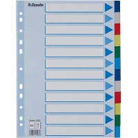 Esselte Intercalaires A4 12 Touches, Multicolore, Onglets Renforces en Plastique Resistant avec Table des Matieres, 15262
