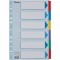 Esselte Intercalaires A4 6 Touches, Bleu/Multicolore, Carton Resistant Recycle, 6 Onglets avec Table des Matieres, 100168