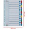 Esselte Intercalaires A4 12 Touches, Bleu/Multicolore, Carton Resistant Recycle, 12 Onglets avec Table des Matieres,