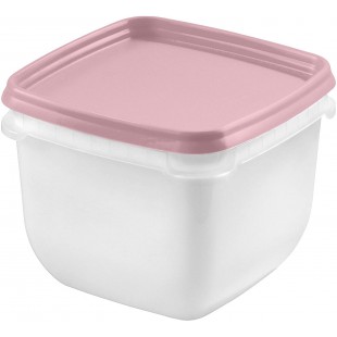 GASTROMAX 803513 Lot de 4 Boites de Conservation Alimentaire, Plastique, Transparent/Rose, 0,75 L