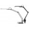 5010099 Lampe de bureau a  pince Ecostar (Argent)