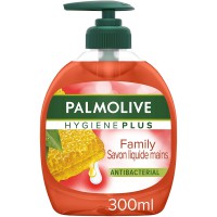 Antibacterien Hygiene Pompe, 300ml (lot de 1)