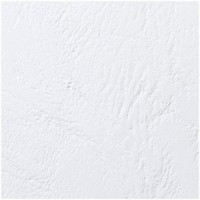 GBC Couverture de reliure Blanc Lot de 100, CE040070