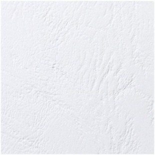 GBC Couverture de reliure Blanc Lot de 100, CE040070