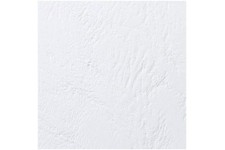 GBC Couverture de reliure Blanc Lot de 100, CE040070