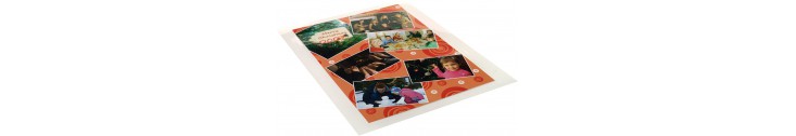 Films Plastification, Brillant