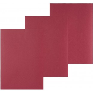 Boite de 100 Plats de couverture A4 grain cuir 250 g Rouge