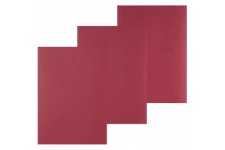 Boite de 100 Plats de couverture A4 grain cuir 250 g Rouge