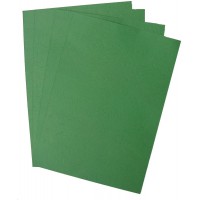 Lot de 100 Plats de couvertures A4 grain cuir 250 g Vert