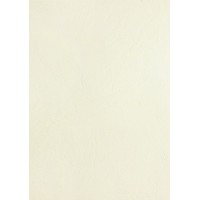8011216 Lot de 100 Plats de couverture A4 Grain cuir ivoire
