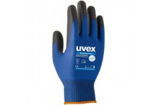 Lot de 10 : Handschutz phynomic Wet, GR. 06