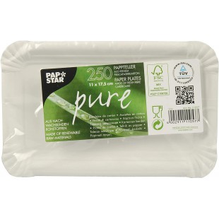 11057 Lot de 250 assiettes jetables carrees en carton 100 % fibres fraiches, 11 x 17,5 cm, qualite alimentaire, compostable, pou
