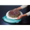 keeeper Boite de Transport pour Gateaux avec Rainures de Decoupe et Plateau de Service, Plastique sans BPA, 38 x 37,5 x 21 cm, E