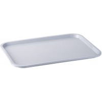 Fast Food tray, plateau de service incassable et lavable au lave-vaisselle, Made in Germany, 41 x 30,5 cm, hauteur 2 cm, gris