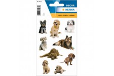 HERMA 3432 Animaux Stickers Photos de Chien (27 Autocollants Papier Mat) Autocollants permanents Motif etiquettes po