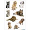 HERMA 3432 Animaux Stickers Photos de Chien (27 Autocollants Papier Mat) Autocollants permanents Motif etiquettes po