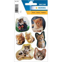 HERMA 5747 Stickers animaux Chatons Fotogene (21 autocollants, papier, mat) Autocollants permanents Motif etiquettes pour filles