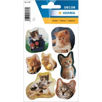 HERMA 5747 Stickers animaux Chatons Fotogene (21 autocollants, papier, mat) Autocollants permanents Motif etiquettes