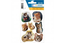 HERMA 5747 Stickers animaux Chatons Fotogene (21 autocollants, papier, mat) Autocollants permanents Motif etiquettes