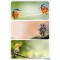 HERMA 1887 Lot de 9 etiquettes autocollantes autocollantes permanentes pour livres, cahiers, boites, maison, multicolores, 76 x 