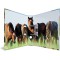 HERMA 19251 Classeur DIN A4 Animal Worlds Horse Meadow 7 cm de large en carton solide colore exterieur et interieur imprime de h