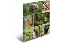 HERMA 19341 Classeur DIN A4 avec motif animaux de la foret en carton solide avec impression interieure complete et elastique pou