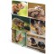 HERMA 19343 Classeur DIN A4 en carton solide avec impression interieure complete et elastique pour enfants, garcons et filles