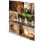 HERMA 19344 Classeur A4 en carton solide avec impression interieure complete et elastique pour enfants, garcons et filles