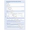 Lot de 5 : Avery 2850 papier de calculs et de declarations - papiers de calculs et de declarations (Bleu, Blanc, Papier, 210 mm,