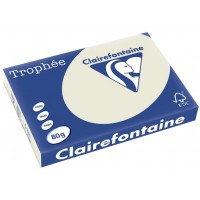 Clairefontaine Trophee 1251 Ramette de 500 feuilles papier 80 g Format A3 Gris