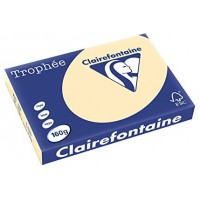 PAPIERS CLAIREFONTAINE Lot de 4 Ramettes 250 Feuilles Papier 160g A3 420x297 mm Certifie FSC CHAMOIS