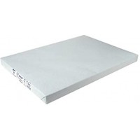 Ramette de 125 feuilles de papier DCP blanc, SRA3, 250 g/m²