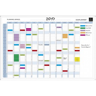 Exacompta - Ref. 56150E - 1 tableau blanc magnetique planning annuel - textes en francais - effacable a  sec - livre avec tous l