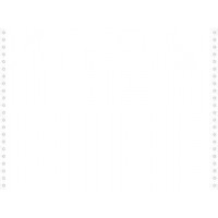 2000 feuilles de listing blanc 380x11" 1pli bandes caroll detachables 70g
