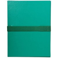 EXACOMPTA Lot de 10 Chemises DOS EXTENSIBLE BALACRON VERT CLAIR