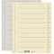 Exacompta 381550b Intercalaire avec perforation, chamois