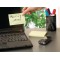Tesa Office Notes, Notes adhesives repositionnables - disponibles en plusieurs tailles 57653-00001-05 Jaune
