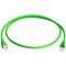 Telegartner Cable de raccordement reseau Informatique RJ45 L00000A0231 Cat 6a S/FTP Vert 25.00 cm