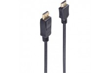 Jeu de bs77490-2 Basic S DisplayPort cable HDMI, 1 m