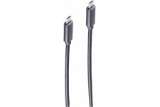 Jeu de bs77140-1.5 Basic - S Cable USB 3.1, C Male vers fiche C, 1,5 m