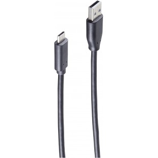 Jeu de bs77143-1.0 Basic S Cable USB 2.0, C Male vers fiche A, 1 m