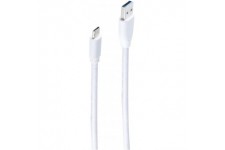 Cable USB 3.0 A male vers USB 3.1C male Blanc 1,8 m