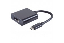 Connecteur USB 3.1 C vers connecteur DisplayPort