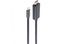 Prise HDMI A vers USB 3.1 C 4 K Noir 3 m
