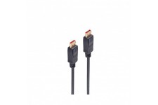 Cable DisplayPort 1.4 vers DP vers DP 2,0 m