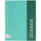 Dossier de temoin Spectrum avec vis pour livre - Format A4 - 12 inserts - Menthe - Extensible