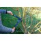 Garten Primus Coupe-branches Dual Cut pour femme