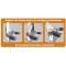 Lot de 20 : Boites Archives Automatiques en Carton Dos 10 cm Gris