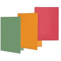 Lot de 100 : 100091652 Carton Vert fichier - Fichiers (Carton, Vert, A4, 100 feuilles, 250 g/m², 230 mm)